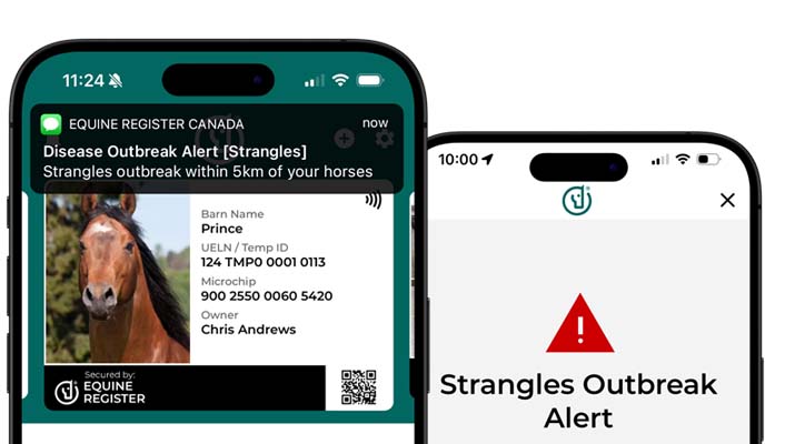 Disease Outbreak Alerts