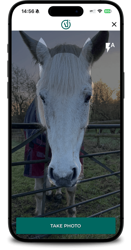 Add Markings Images to horses profile
