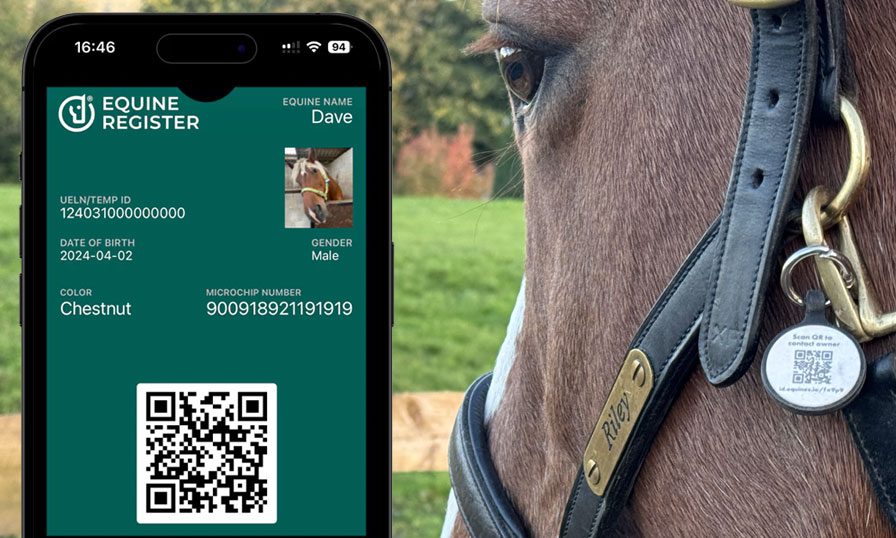 See how are QR tags work