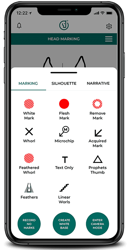Equine Markings - Ditigusihing features