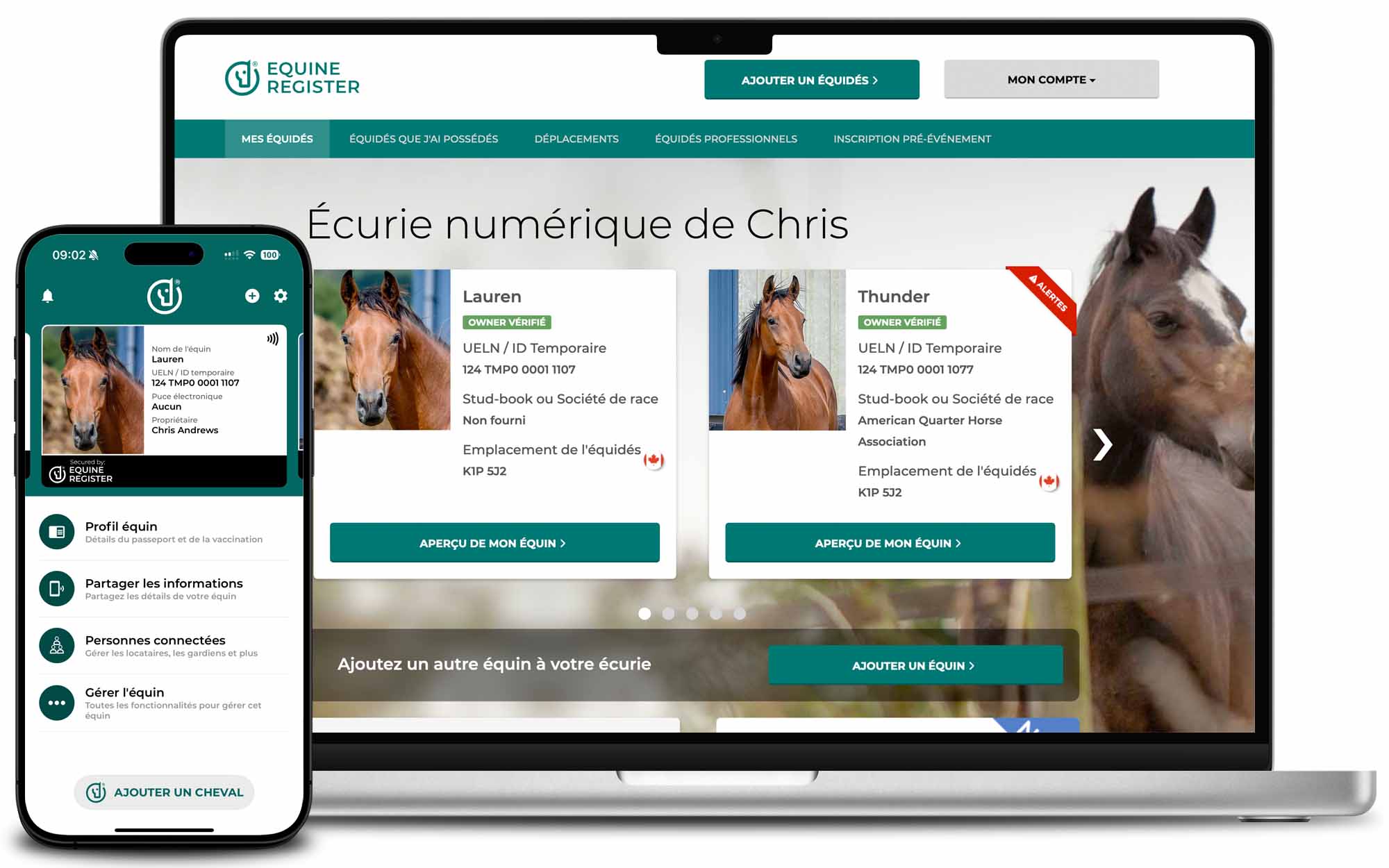 Plateforme de l'Écurie Numérique